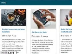 Sites similar to i-fekt.de