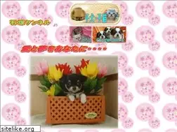 Sites similar to i-kennel.jp