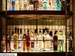 Sites similar to iapalucci.com