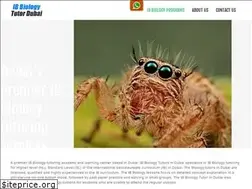 Sites similar to ibbiologytutoringdubai.com