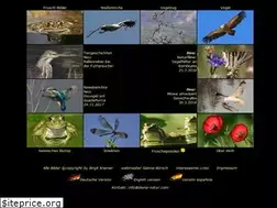 Sites similar to iberia-natur.com