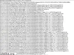 Sites similar to ibericarcuzco.es