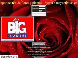 Sites similar to ibfsl.com
