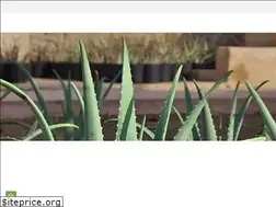 Sites similar to ibizaloe.com