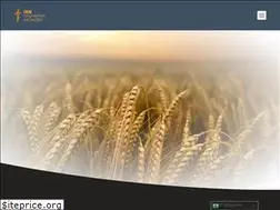 Sites similar to ibn.org.uk