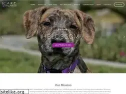 Sites similar to icaredogrescue.org