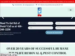 Sites similar to icepest.com