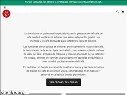 Sites similar to ichca.cl