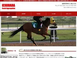 Sites similar to ichihara-net.jp
