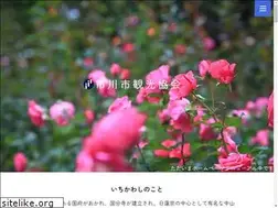 Sites similar to ichikawa-kankou.jp