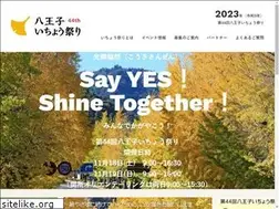 Sites similar to ichou-festa.org