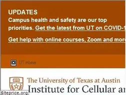 Sites similar to icmb.utexas.edu