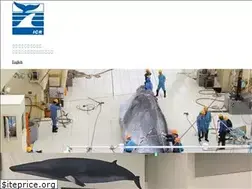 Sites similar to icrwhale.org