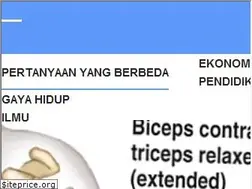 Sites similar to id.you7behappy.com