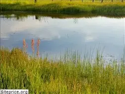 Sites similar to idahoarea18aa.org