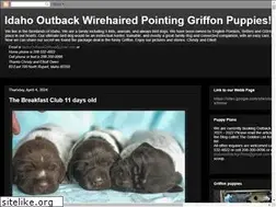 Sites similar to idahooutbackgriffons.blogspot.com