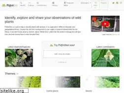 Sites similar to identify.plantnet-project.org
