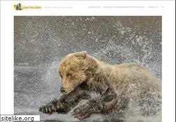Sites similar to idubephotosafaris.com