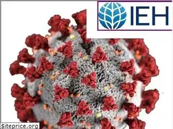 Sites similar to iehinc.com