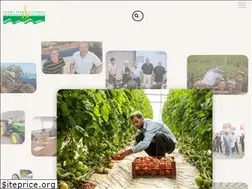 Sites similar to iff.co.il