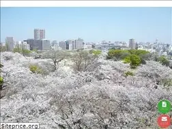 Sites similar to igakubu-juku.com