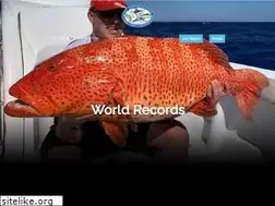 Sites similar to igfa.org