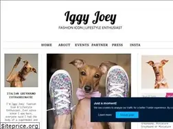Sites similar to iggyjoey.com