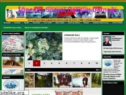 Sites similar to igneadahaber.com