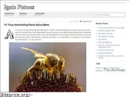 Sites similar to ignisfatuus.com