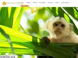 Sites similar to iguanalodge.com