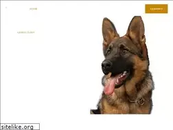 Sites similar to iguardinternational.com