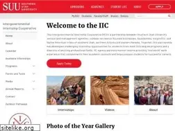 Sites similar to iicinternships.com