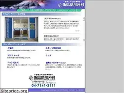 Sites similar to iijima-seikei.jp