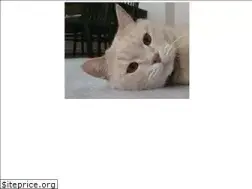 Sites similar to iiko.org.tr