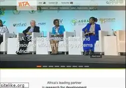 Sites similar to iita.org