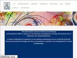 Sites similar to ijca.net