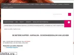 Sites similar to ijsseldijkkappers.nl