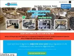 Sites similar to ikincielevesyasi.com