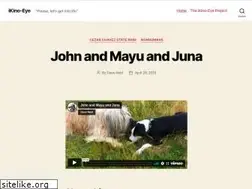 Sites similar to ikinoeye.com