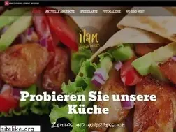 Sites similar to ilan-homburg.de