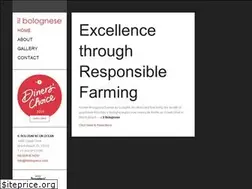 Sites similar to ilbolognese.com