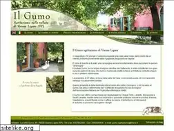Sites similar to ilgumo.it