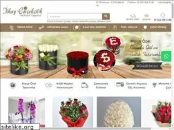 Sites similar to ilkaycicekcilik.com