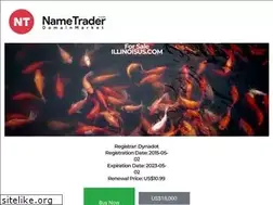 Sites similar to illinoisus.com