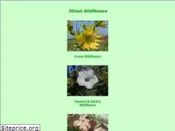 Sites similar to illinoiswildflowers.info