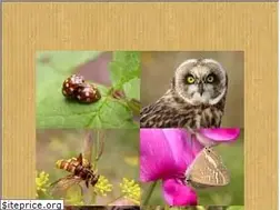 Sites similar to illustration-nature.com