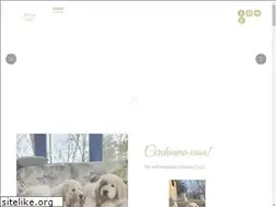 Sites similar to ilmelorosso.it