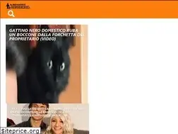 Sites similar to ilmiogattoeleggenda.it