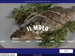 Sites similar to ilmoloboston.com
