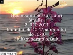 Sites similar to ilonvalkeat.info